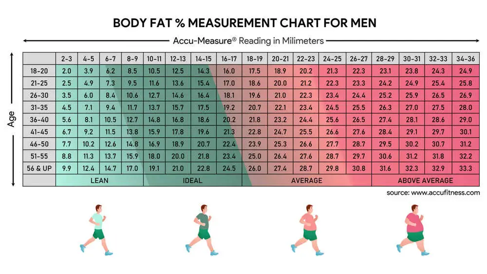 Body Fat Percentage Measurement Chart for Men